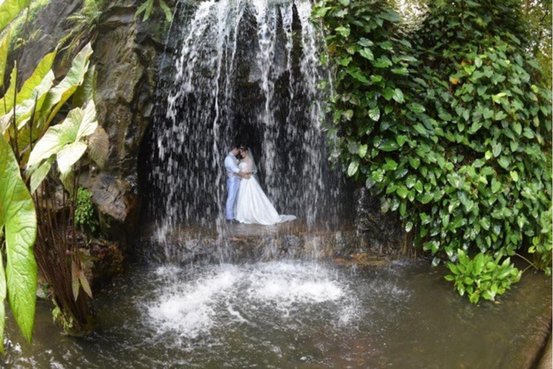 Luxphoが撮影した「フォトギャラリー」の写真