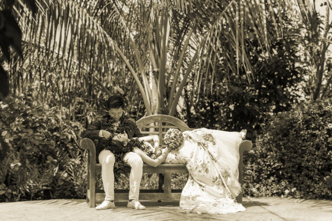 Hawaii Life Photography & Media