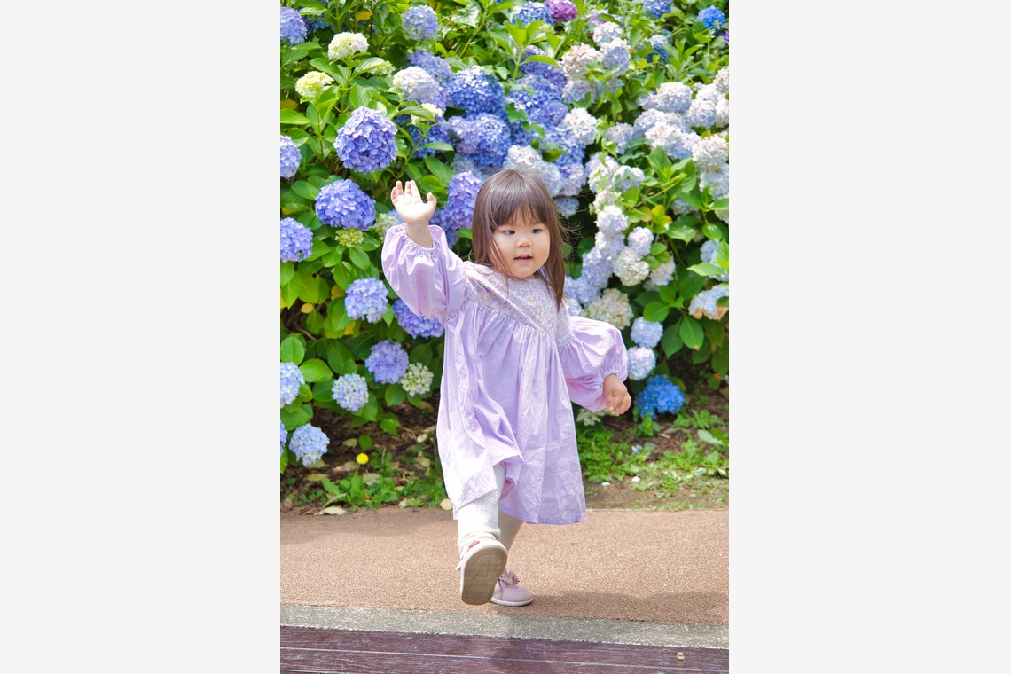 naru2photoが撮影した「みんな紫陽花色の衣装で。」の写真