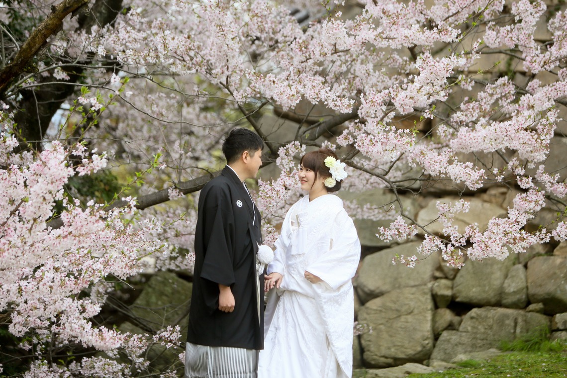 KIKIウェディングが撮影した「しだれ桜とソメイヨシノ」の写真