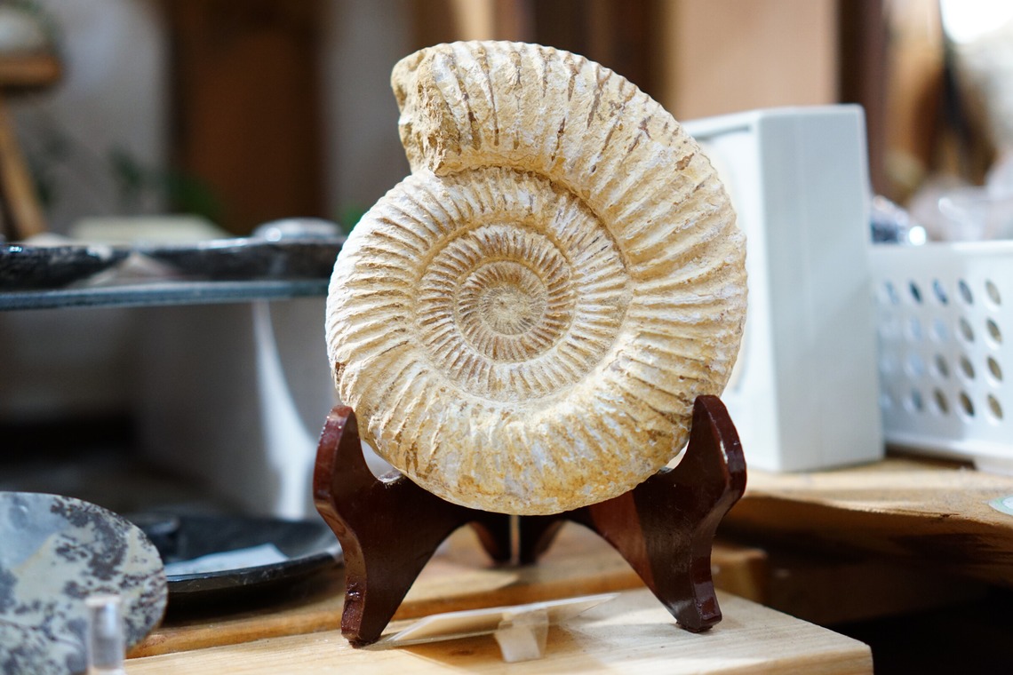 出張撮影のメモリーズが撮影した「宣材-アラカルト」の写真