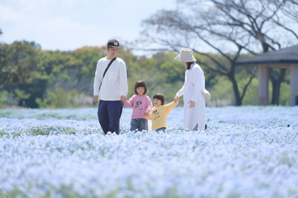 吉村　恵三が撮影した「七五三・お宮参り」の写真