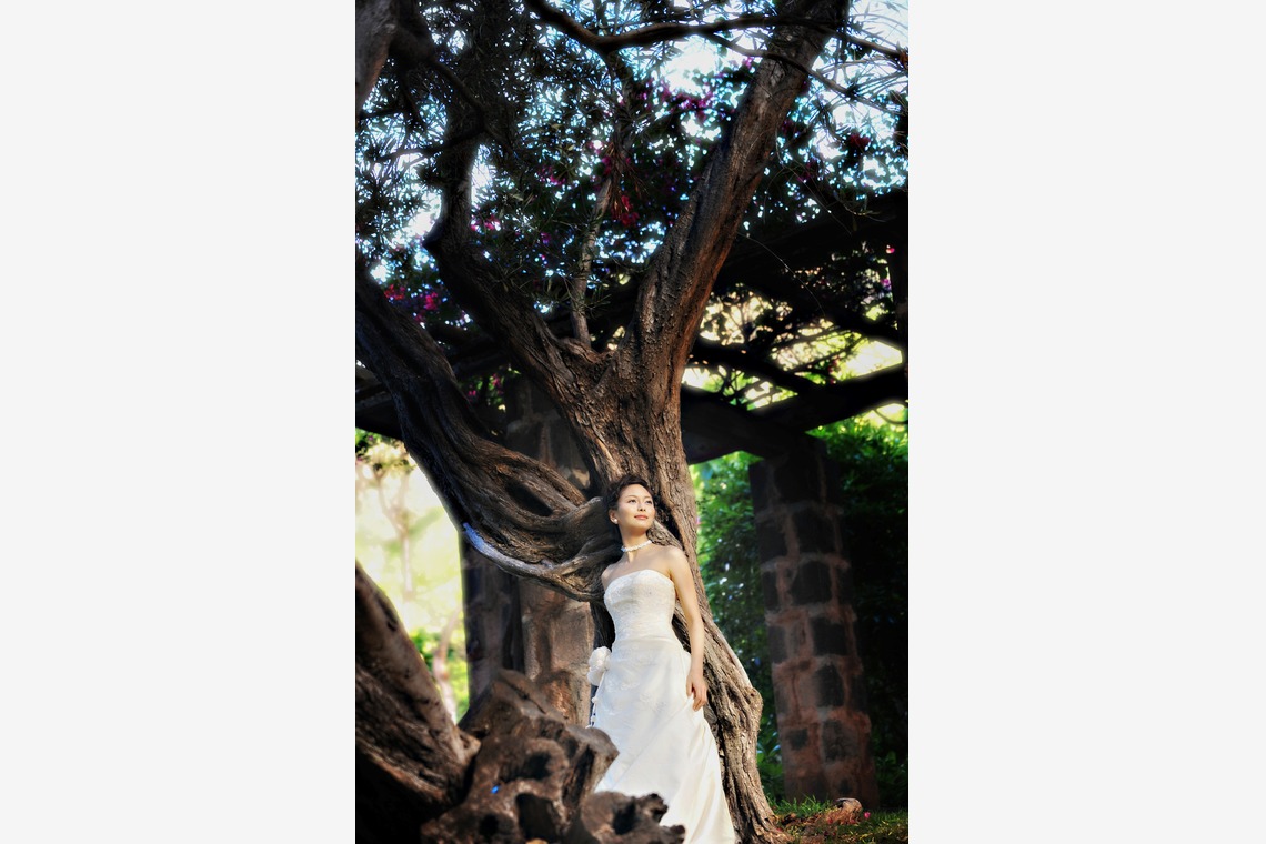 éclat photographyが撮影した「bride solo」の写真