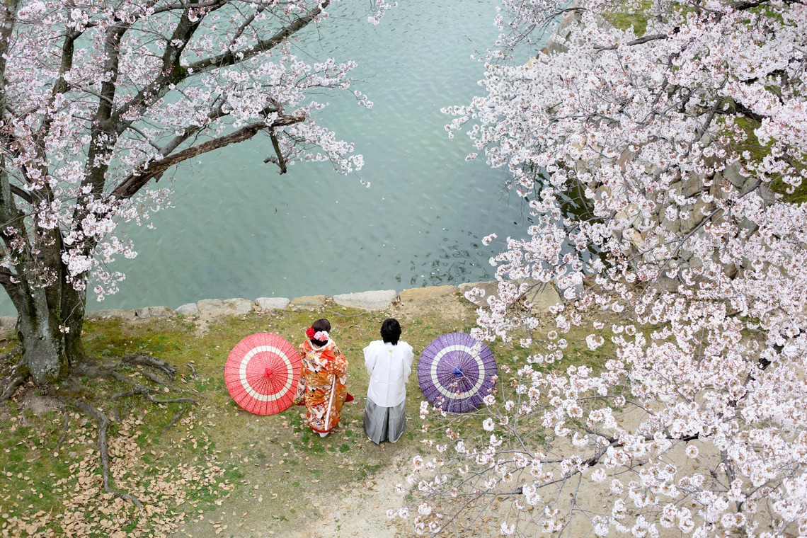 KIKIウェディングが撮影した写真のアルバム「サクラとお城と打ち掛け」