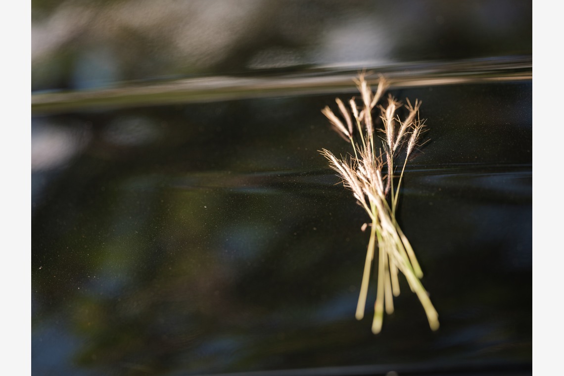 藤原和彦が撮影した「ロケーションフォト」の写真