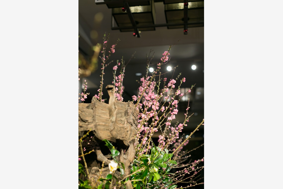 Yuki Shimada Photographyが撮影した「お花」の写真