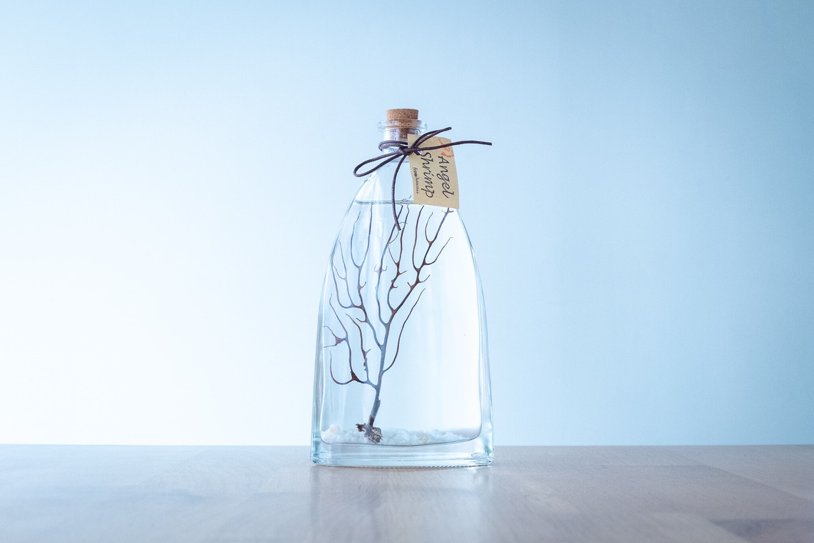 Yossyが撮影した「ECサイト」の写真