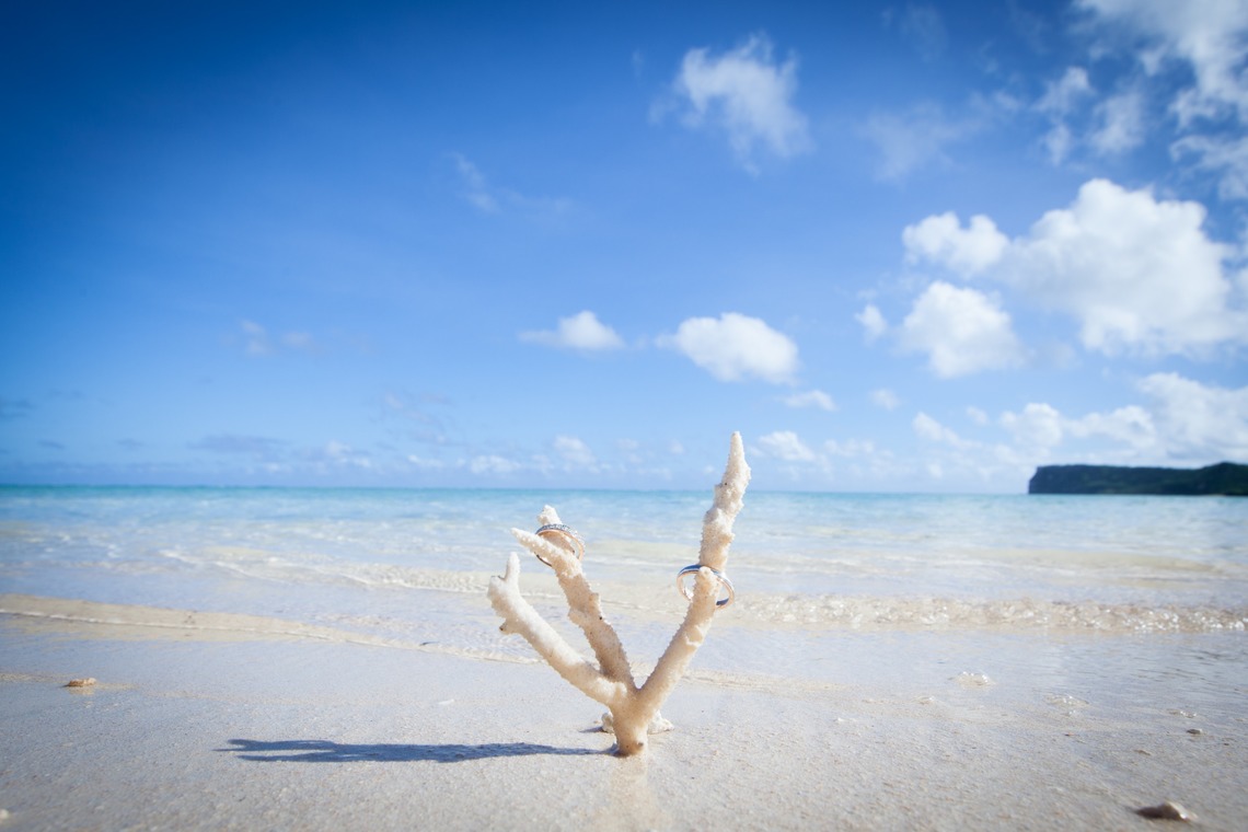 Album of the Location Photo Shoot taken by APITS art photography - Wedding photo@Guam