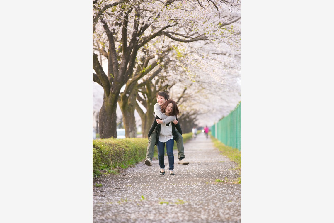 キタノフォトオフィス (北野尚史)が撮影した写真のアルバム「桜エンゲージメントフォト」