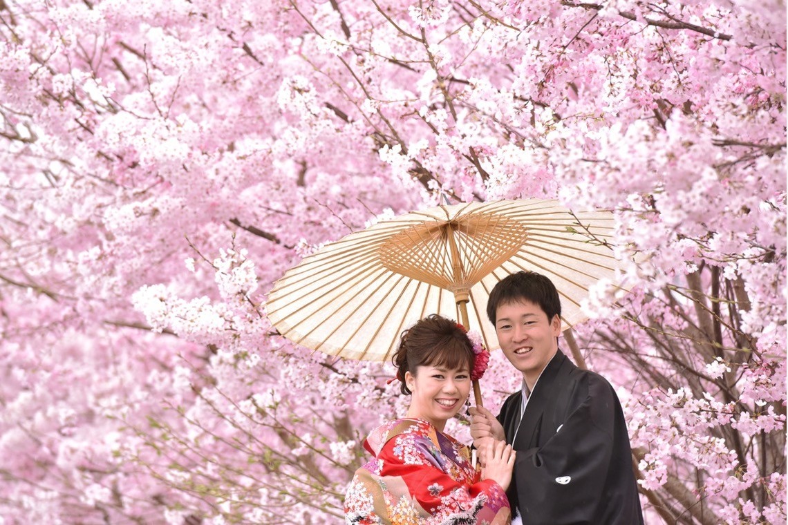 キキフォトワークスが撮影した「桜の季節の和装前撮り」の写真