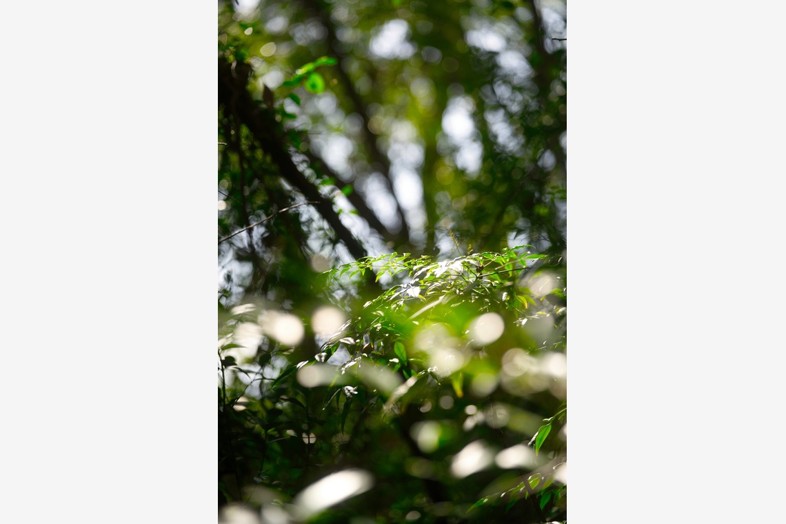 Tak Ogawa photographer