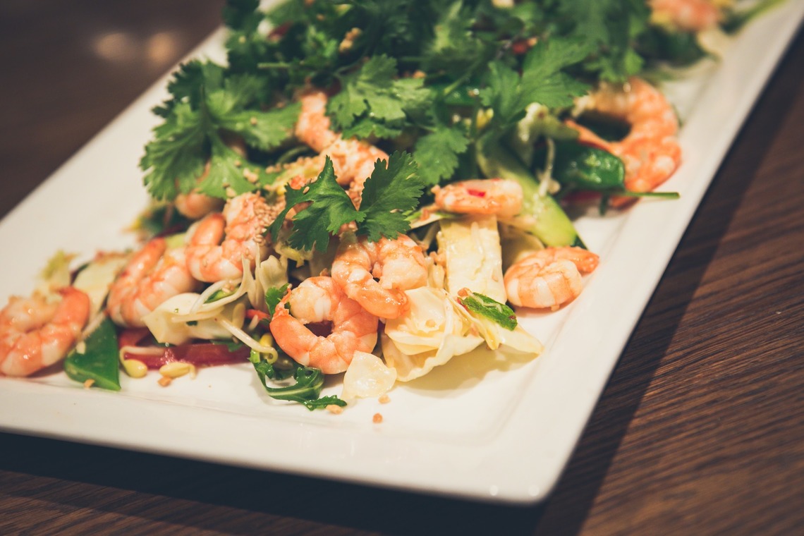 Layla Shibukawa Photography