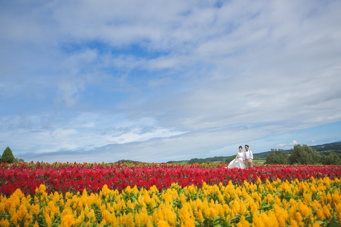 Sincere（サンシェール）が撮影した「北海道／絶景フォトウエディング in 富良野」の写真