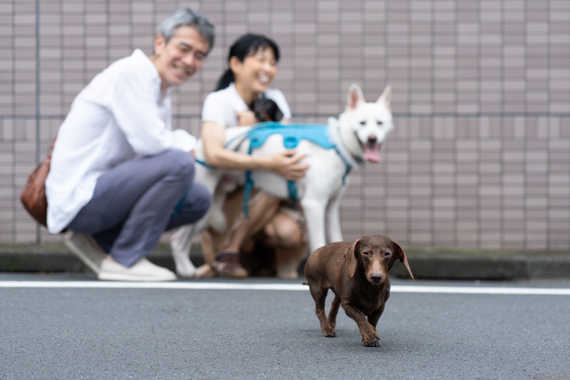元木 ヒデが撮影した「I 様　ペット撮影」の写真