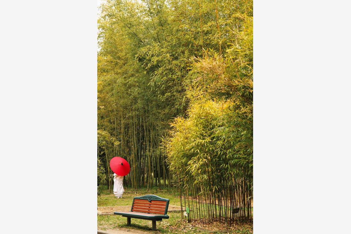 ひときわphotoが撮影した「屋外撮影など」の写真