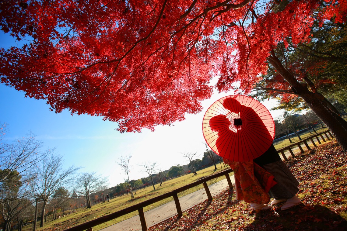 Photo of  taken by Hayashi Photo Works