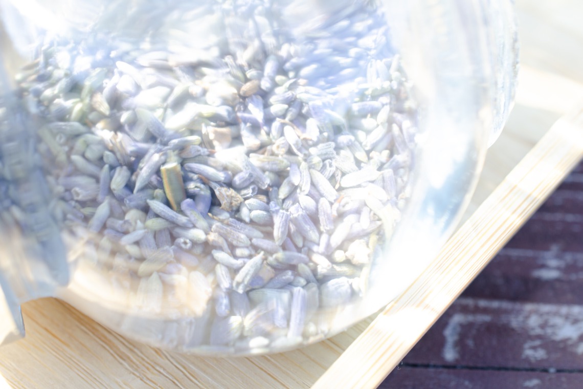 Photographer YUUKIが撮影した写真のアルバム「Yomogimushi Salon 2」