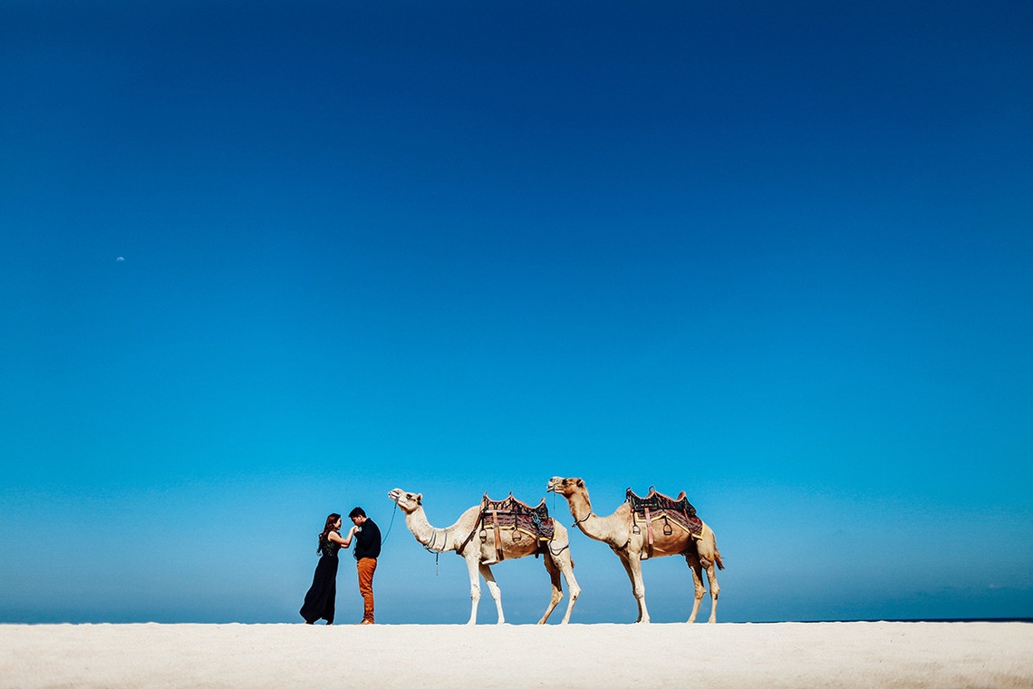 Padi Photograpahyが撮影した「」の写真