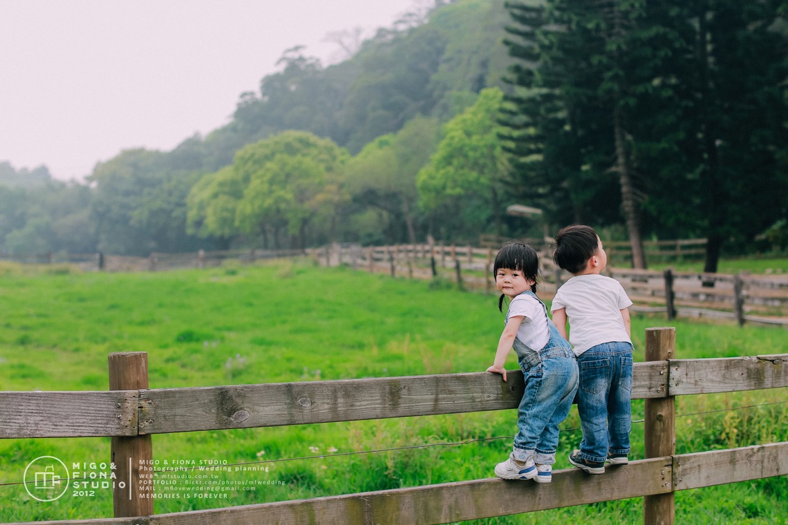 MF STUDIO Migoが撮影した「KeyKey家族の写真」の写真