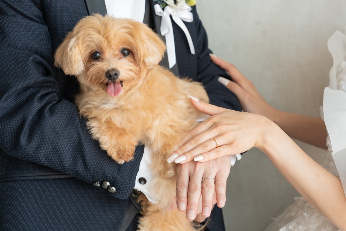 河村　賢が撮影した「前撮り（熊本）」の写真