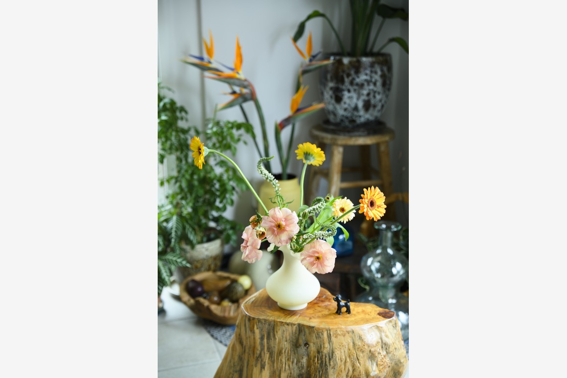 三浦希衣子が撮影した「雑誌お店紹介」の写真