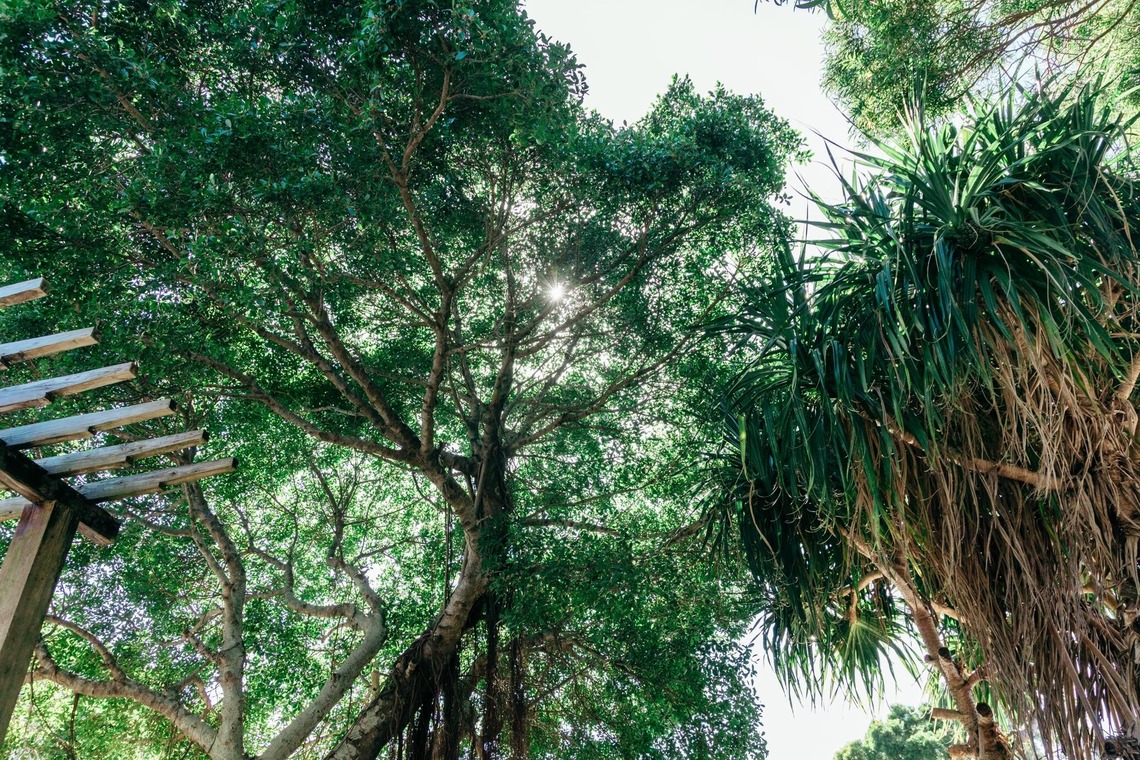 ポートレート沖縄が撮影した「ペット撮影」の写真