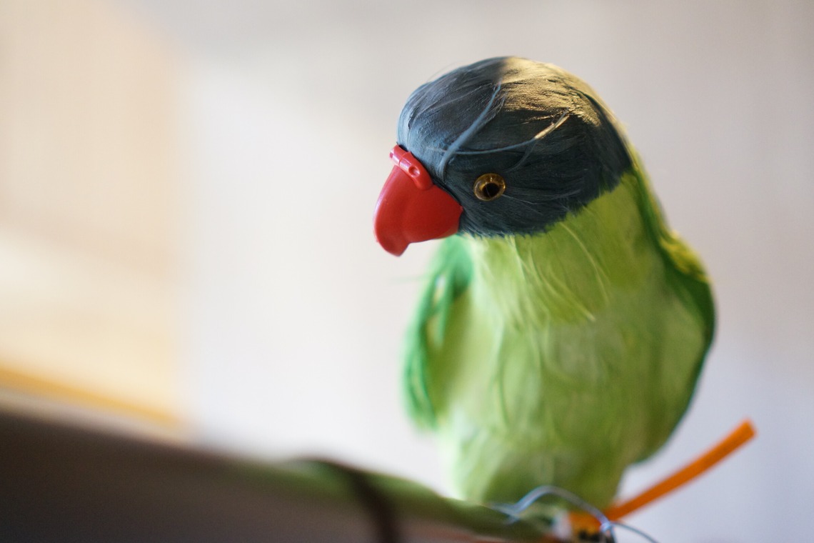 出張撮影のメモリーズが撮影した「宣材-アラカルト」の写真