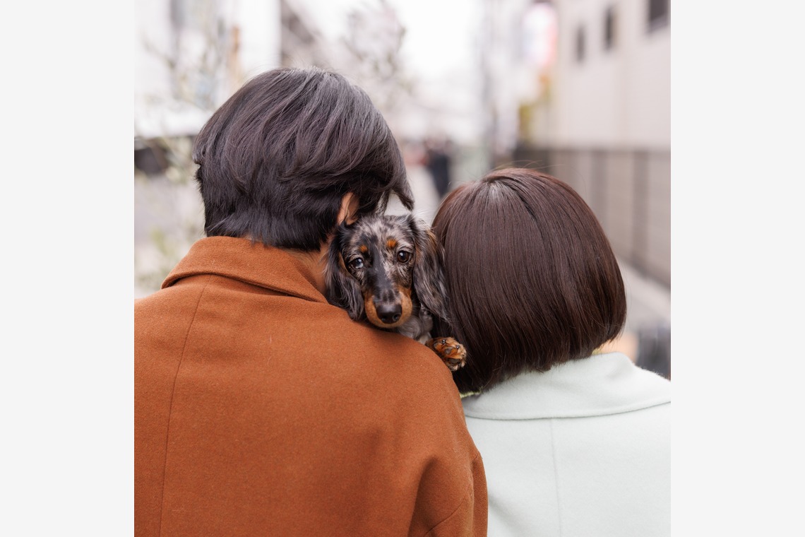 猫田晃広が撮影した「わんちゃん撮影」の写真
