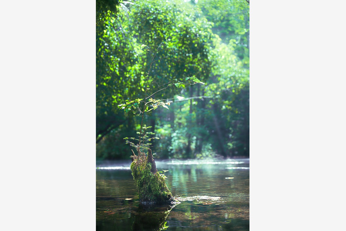 高木勇斗が撮影した「風景」の写真