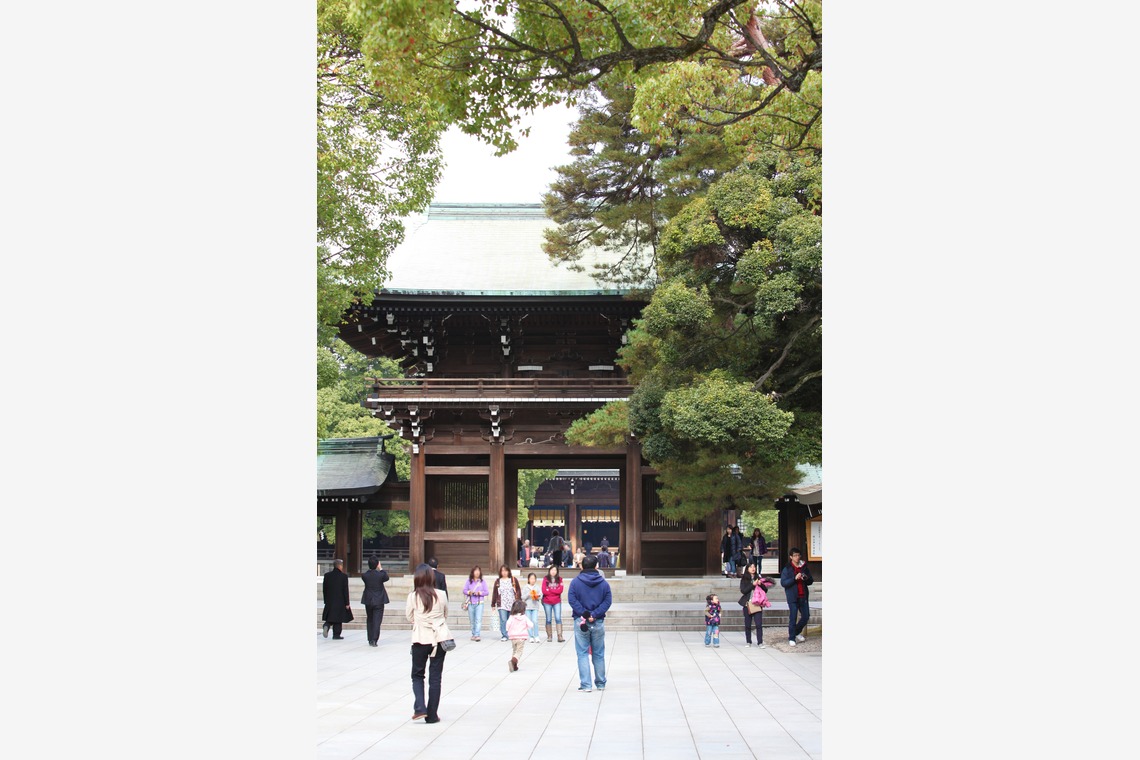 村田わかな広告写真が撮影した「収穫感謝と食の集い」の写真