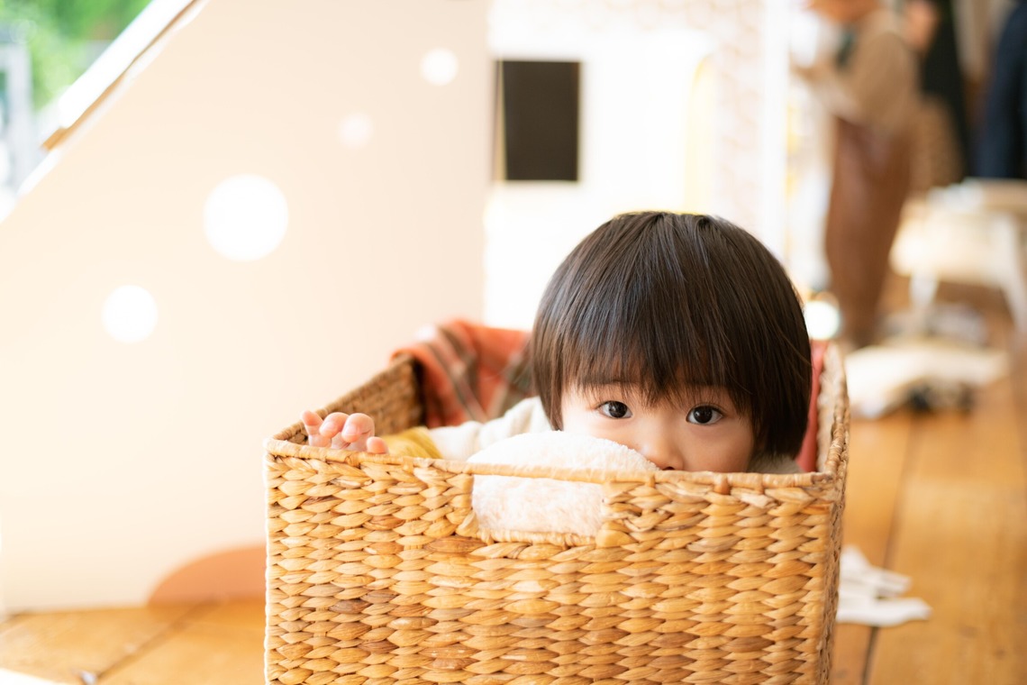 曽川拓哉が撮影した写真のアルバム「ダンボールハウスの商品撮影」