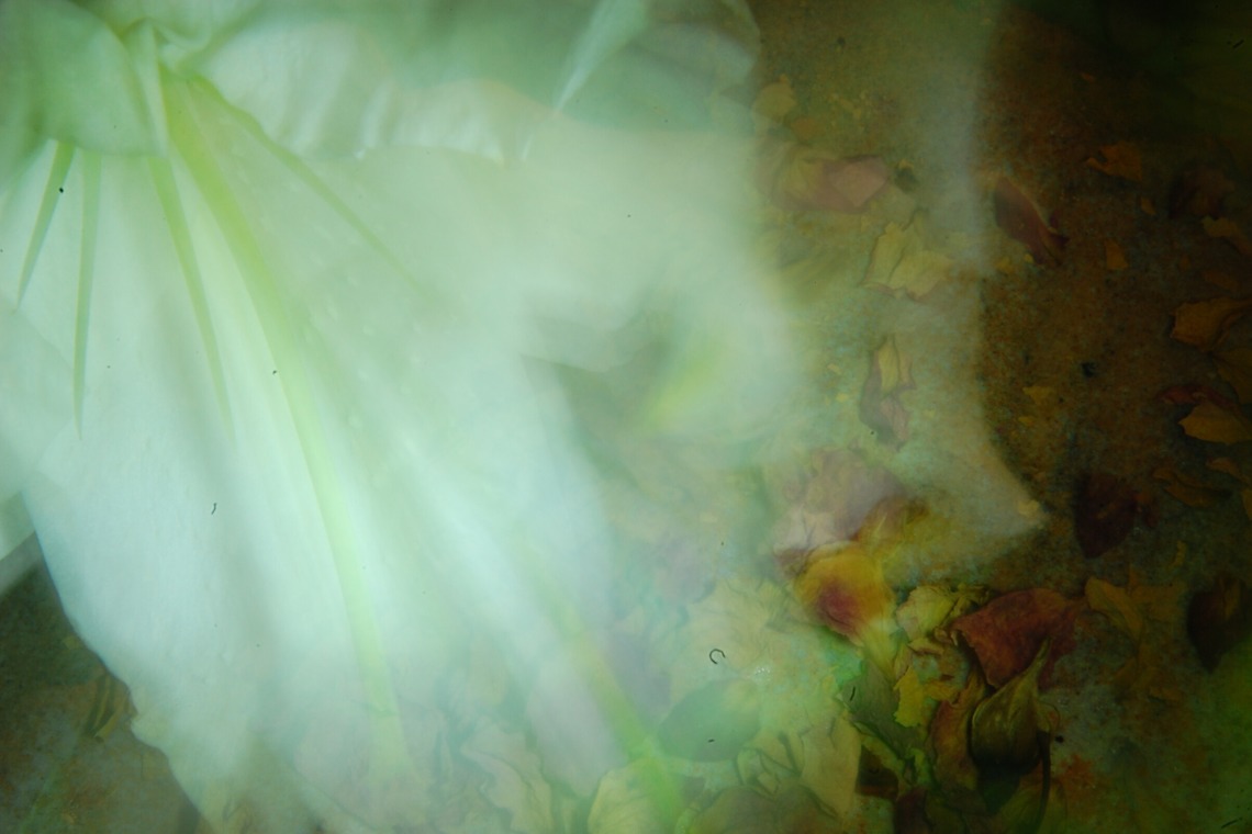 baysidecoyoteが撮影した「イメージ」の写真