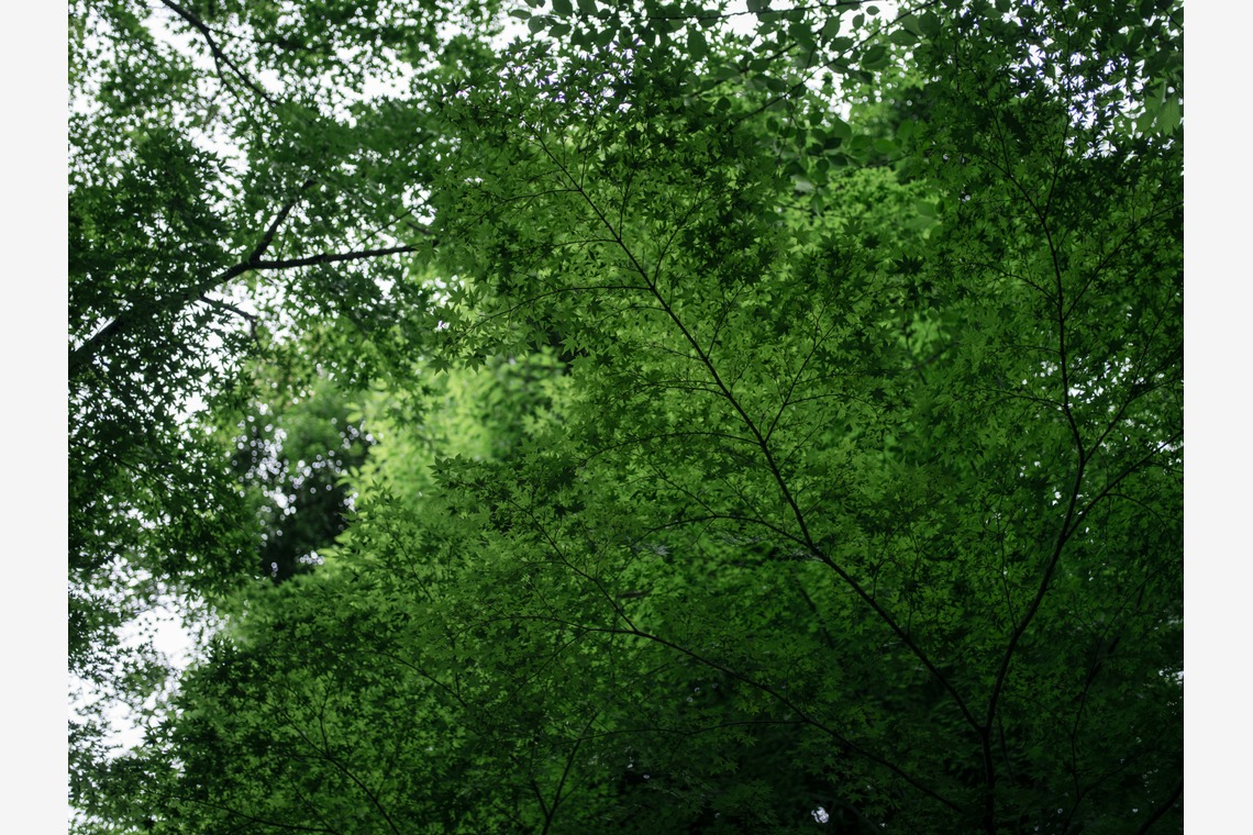 Photo of The Day of Wedding taken by yuri uemura