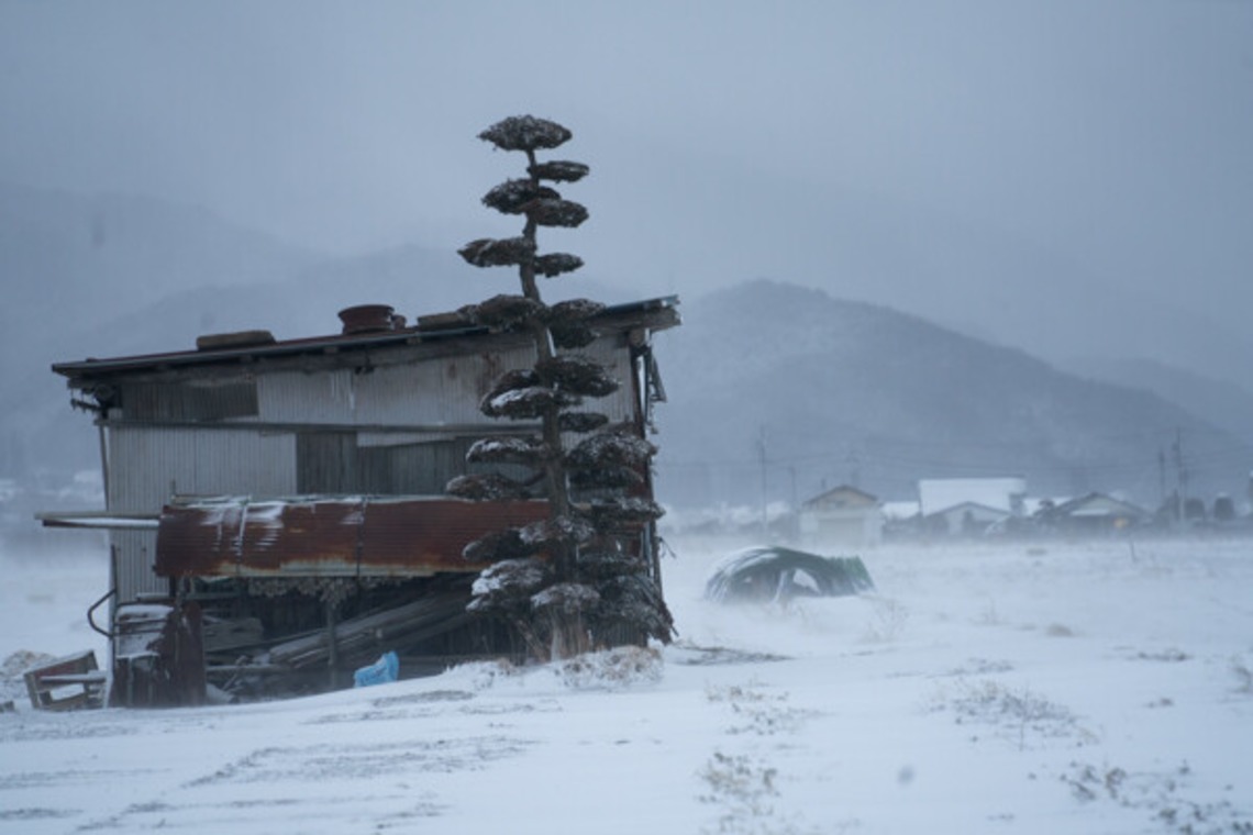 手塚隆弘が撮影した「気ままに」の写真