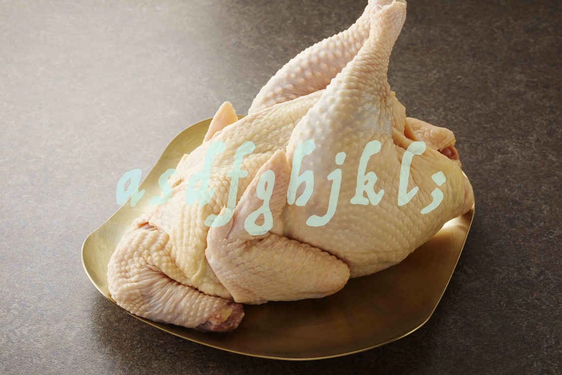 西原毅が撮影した写真のアルバム「高級素材」