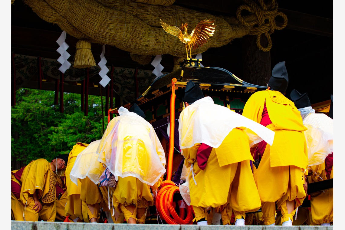 アンドCが撮影した「スナップ」の写真