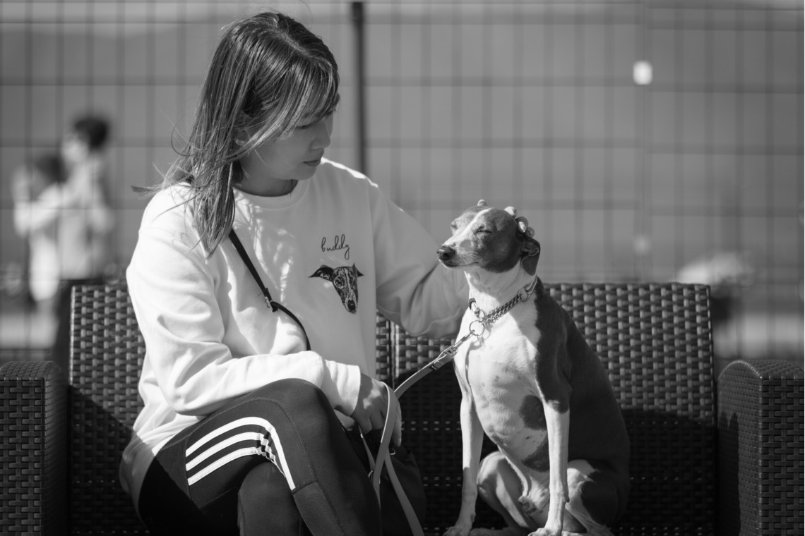 T.Matsumuraが撮影した「ペット」の写真