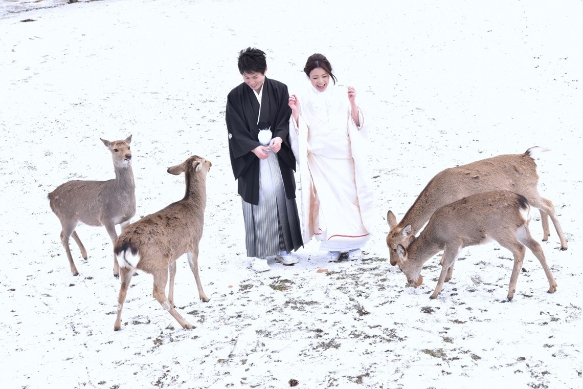 キキフォトワークスが撮影した「Pre Weddingphotoshoot at Nara with kimono in autumn to winter」の写真