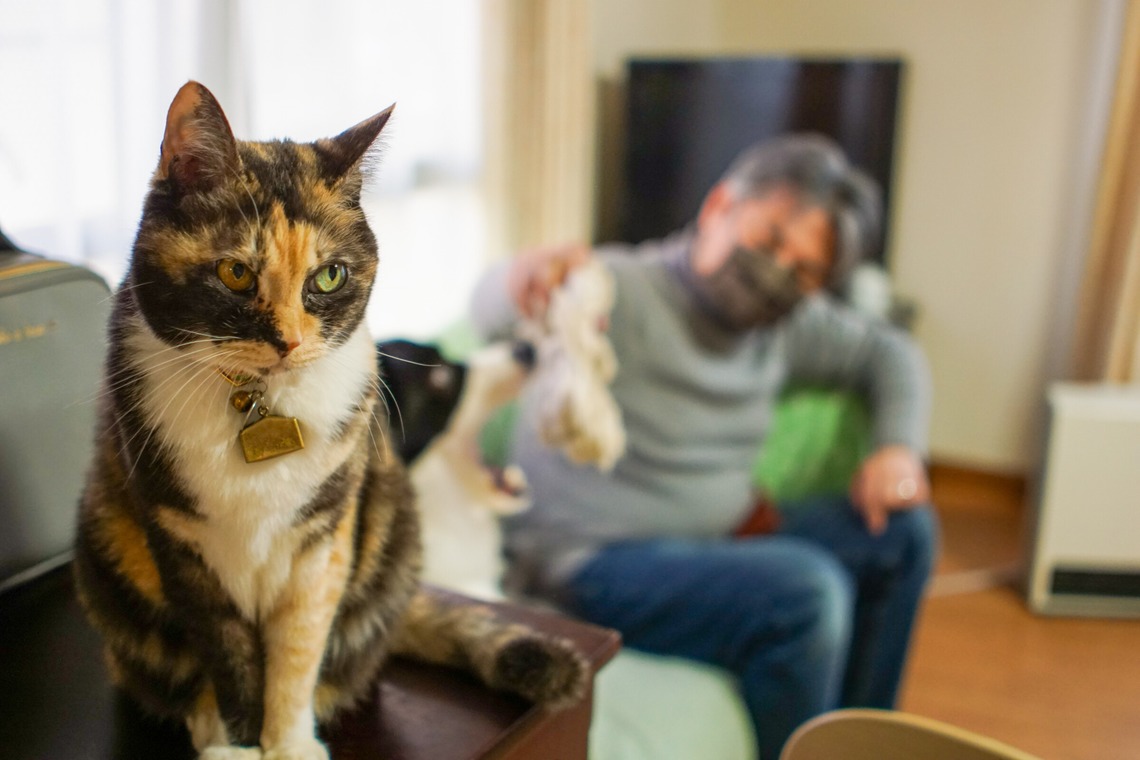 フォトグラフ山王