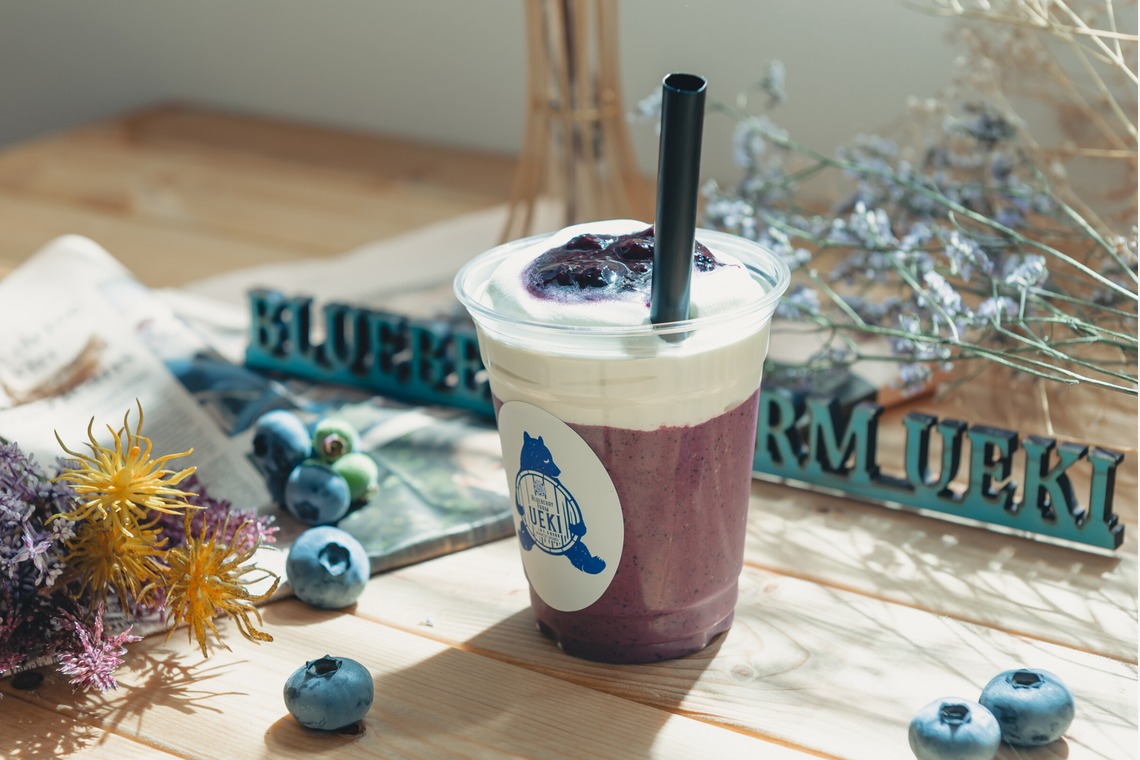 PhotoStudioLink　福井アイラ