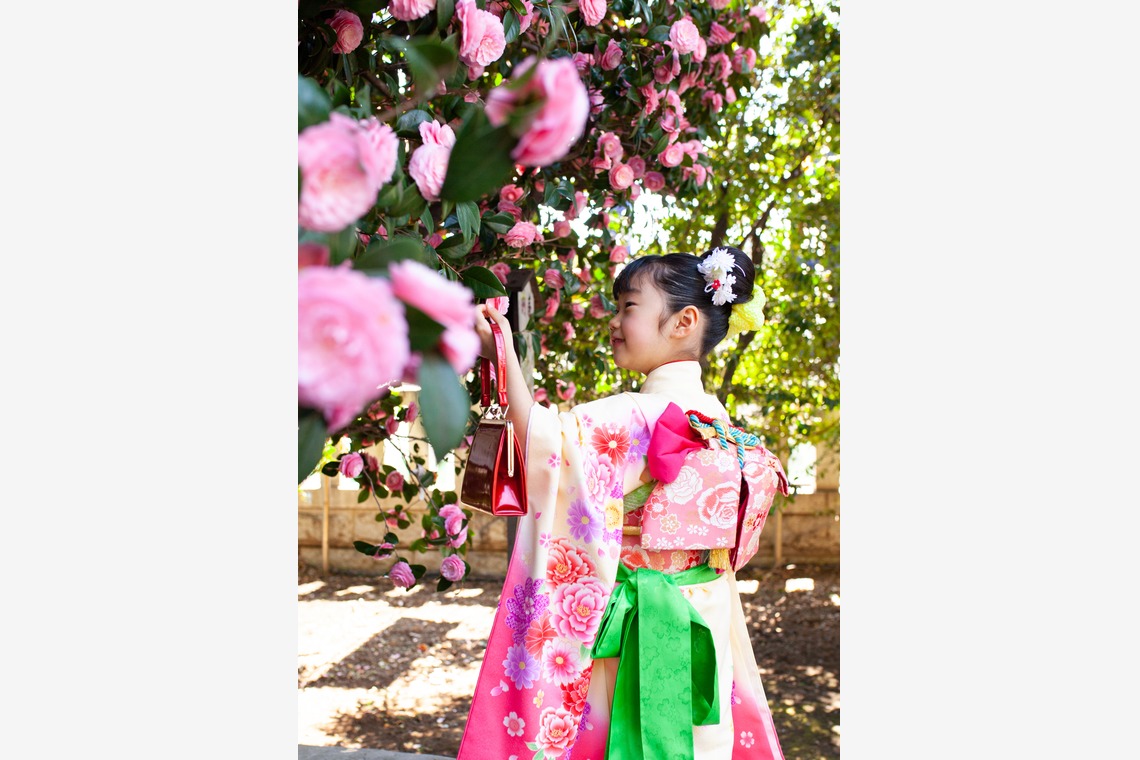 Photobirdが撮影した「七五三の記念撮影、神社にて」の写真