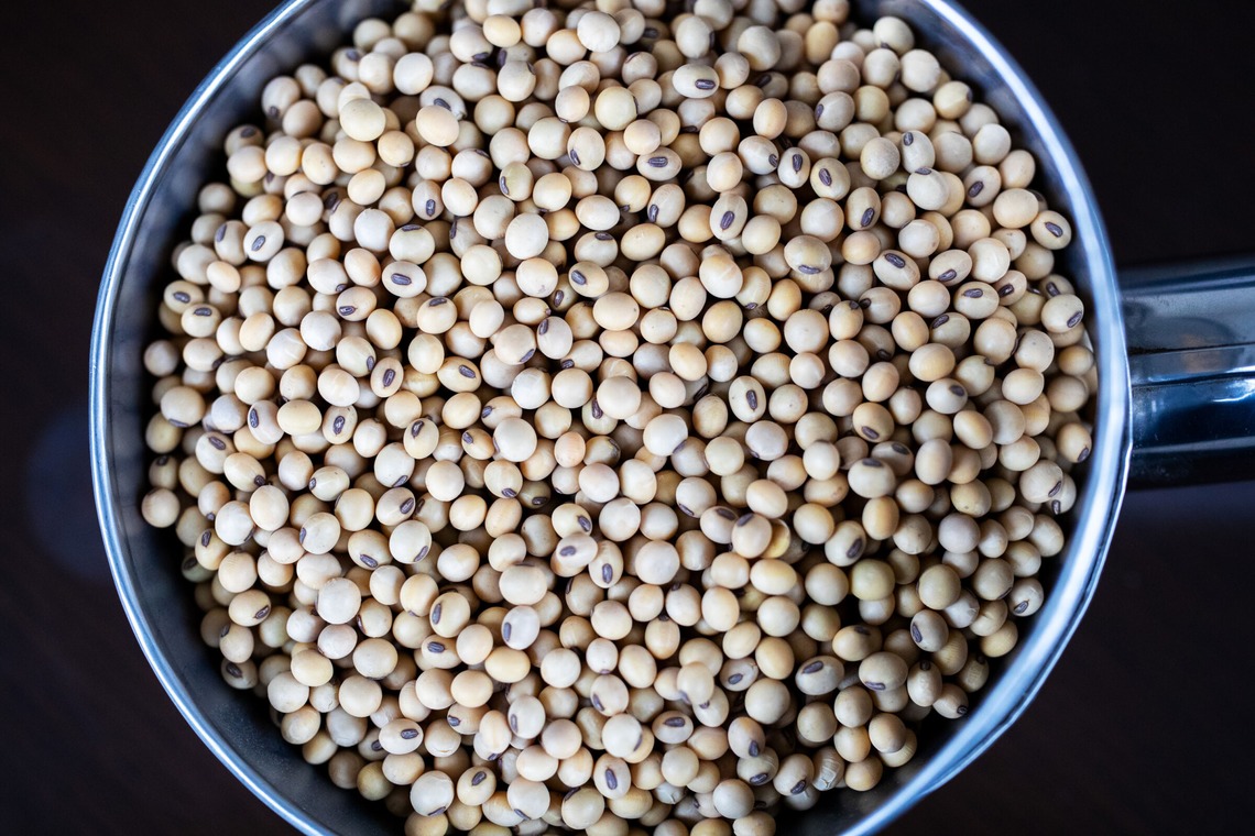 写真家 越智貴雄