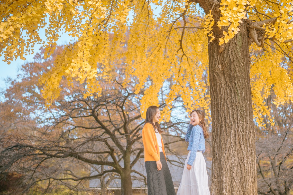 三橋宣貴が撮影した写真のアルバム「代々木公園フレンドフォト」