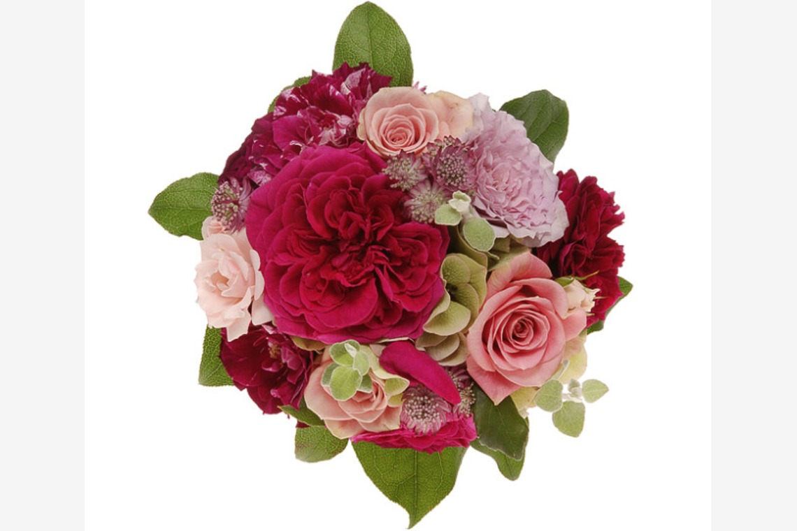 有限会社　澤田スタジオが撮影した「花」の写真