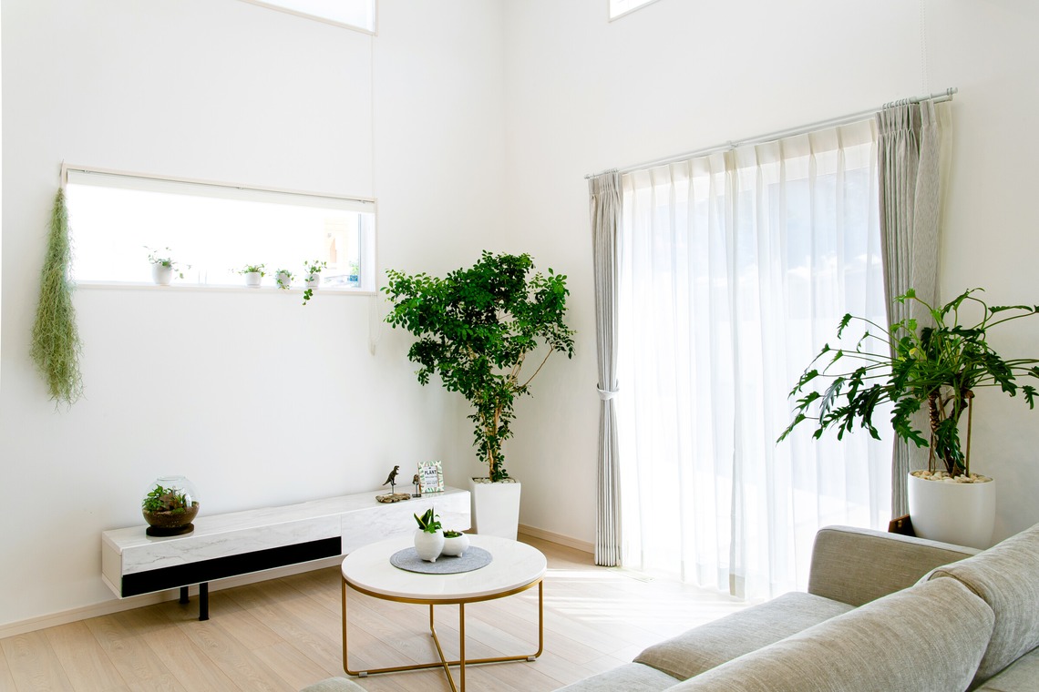 正太郎が撮影した写真のアルバム「建築写真」