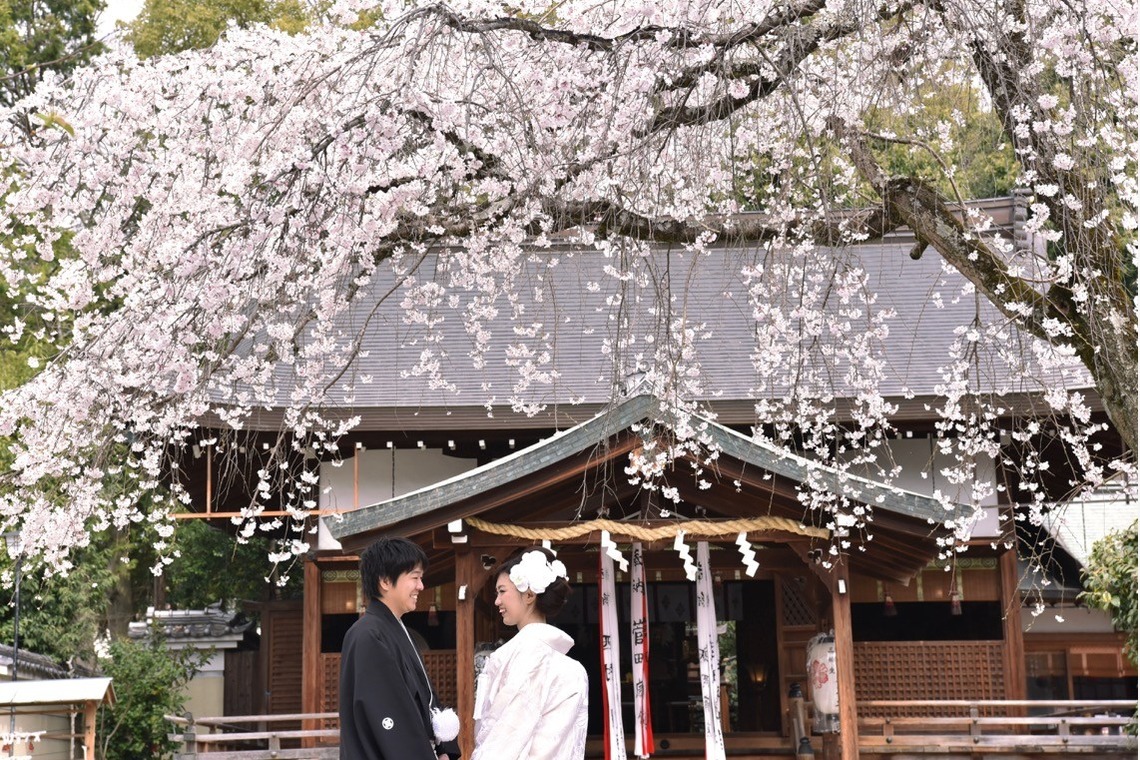 キキフォトワークスが撮影した「奈良公園でのロケーション撮影と神社でのご祈祷」の写真
