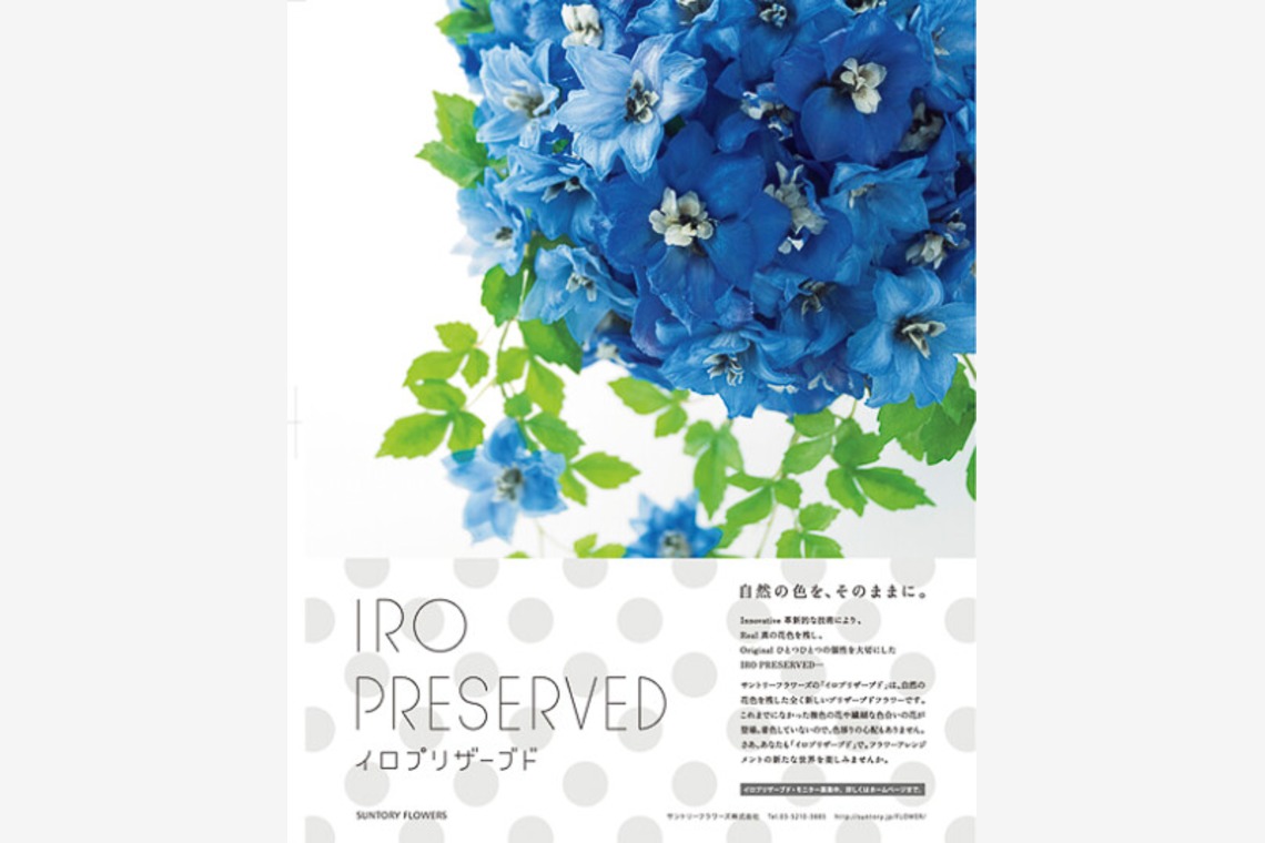 有限会社　澤田スタジオが撮影した「花」の写真