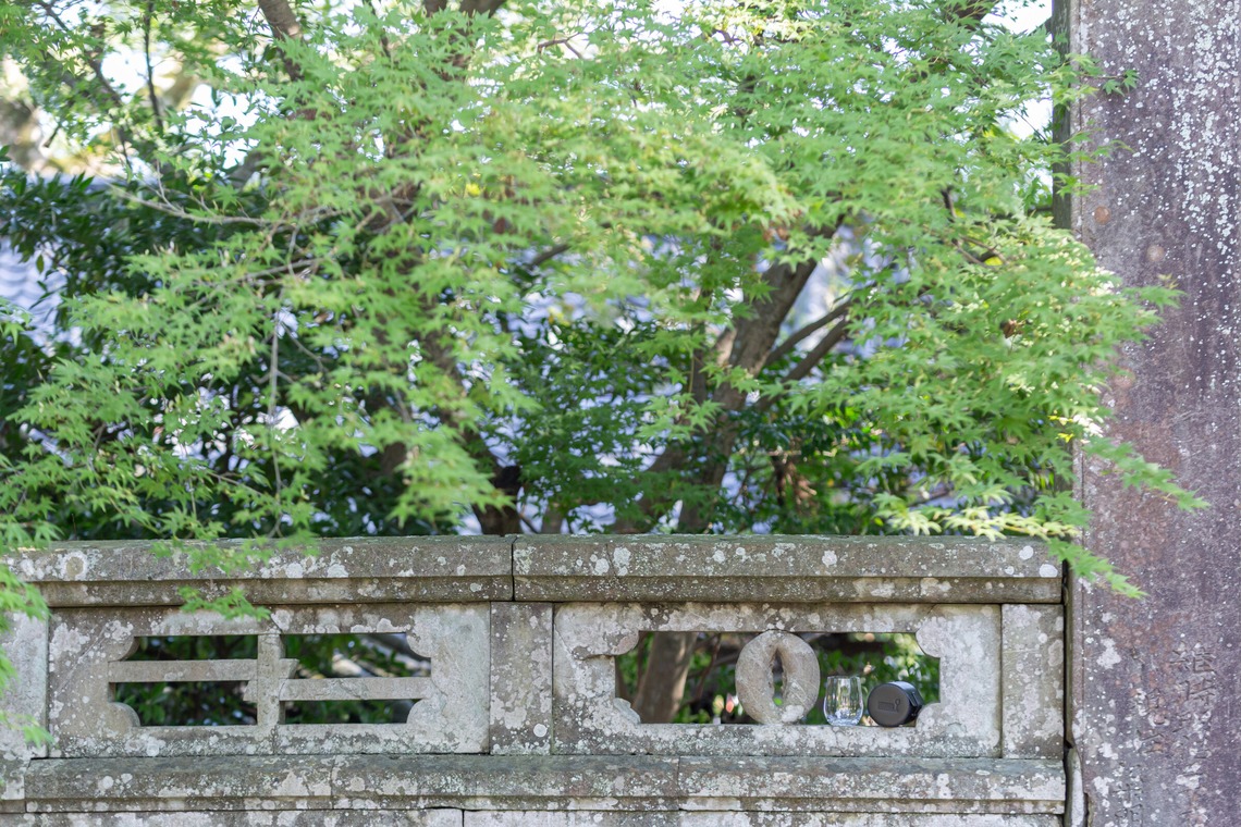 デグチマミが撮影した写真のアルバム「商品撮影」