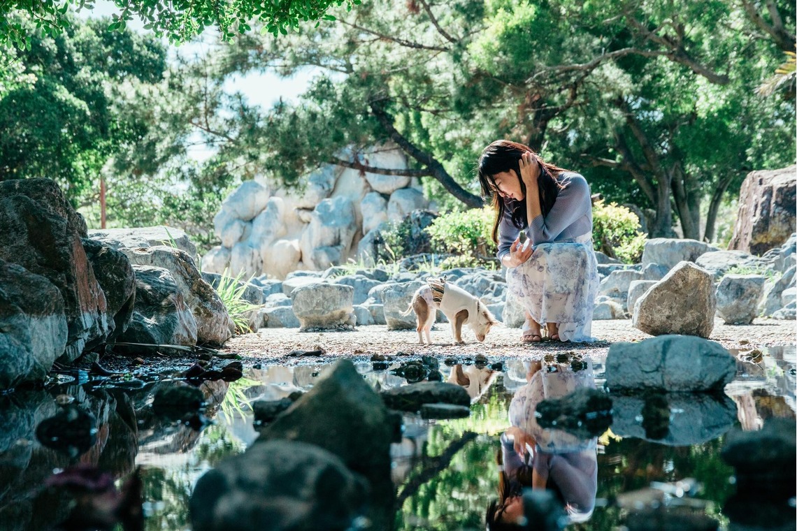 ポートレート沖縄が撮影した「ペット撮影」の写真