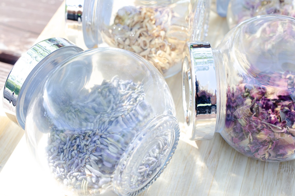 Photographer YUUKIが撮影した写真のアルバム「Yomogimushi Salon 2」